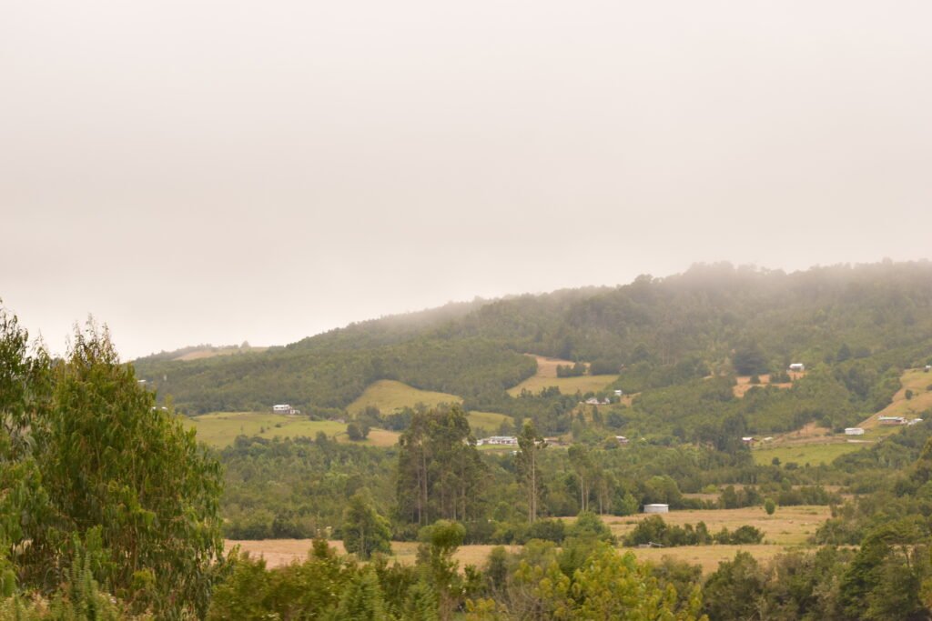 Consultoría ambiental en Santiago de Chile